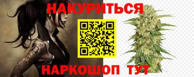 мяу мяу мука Гатчина
