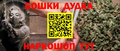 тгк Гай