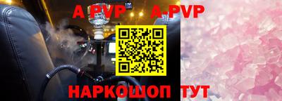 тгк Гай