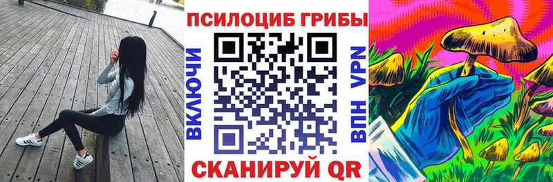 Галлюциногенные грибы Magic Shrooms  Петрозаводск 