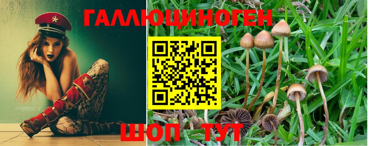 Петрозаводск  Галлюциногенные грибы Psilocybe  Вход с VPN 